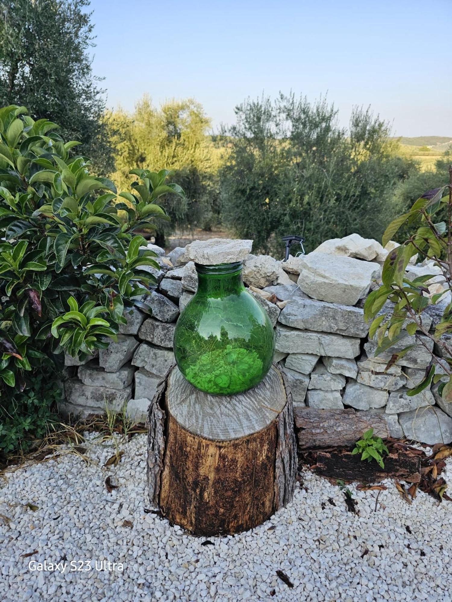 Azienda Agricola Gentile - La Casa Degli Ulivi Hostal Vieste Exterior foto