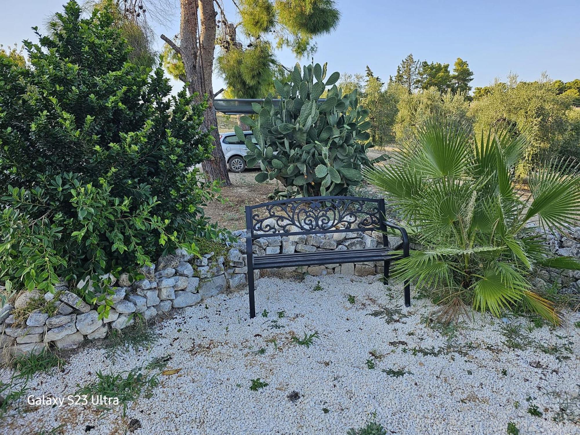 Azienda Agricola Gentile - La Casa Degli Ulivi Hostal Vieste Exterior foto