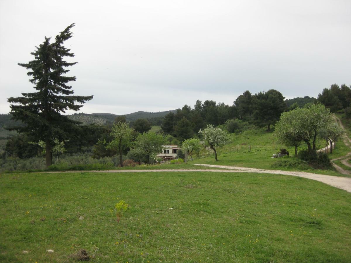 Azienda Agricola Gentile - La Casa Degli Ulivi Hostal Vieste Exterior foto