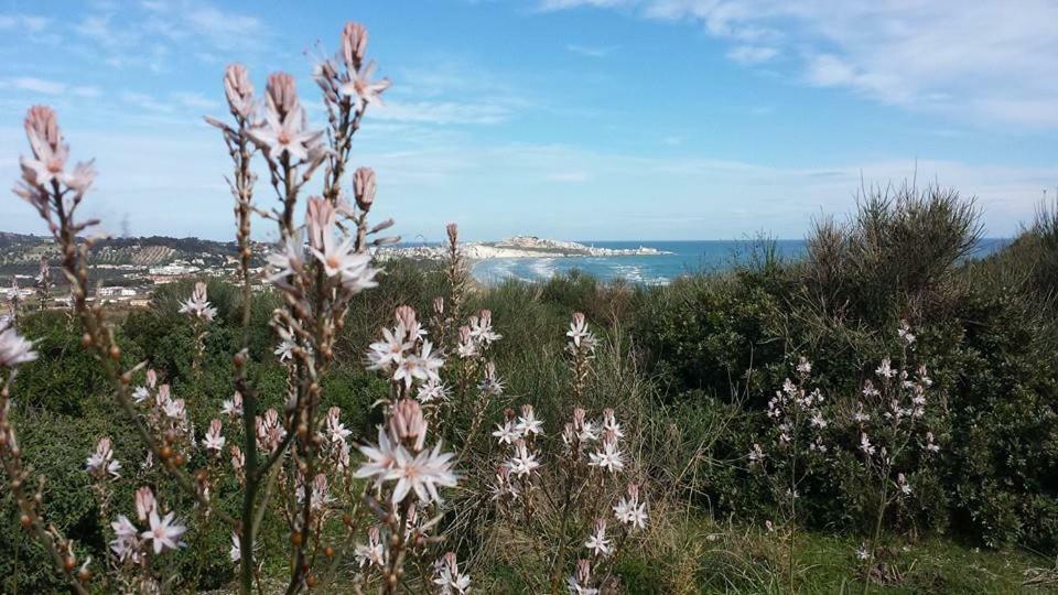 Azienda Agricola Gentile - La Casa Degli Ulivi Hostal Vieste Exterior foto