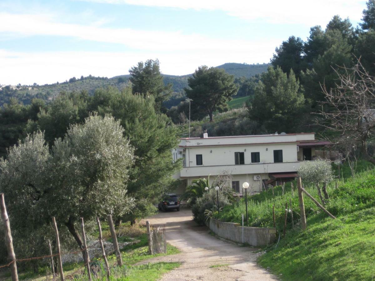 Azienda Agricola Gentile - La Casa Degli Ulivi Hostal Vieste Exterior foto